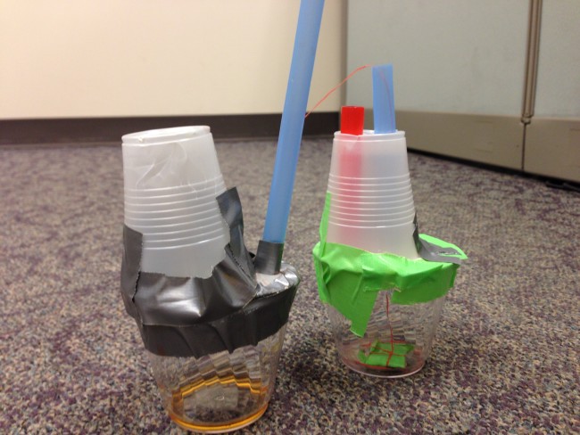 Engineering Design Process - Heart Valve - Life Science